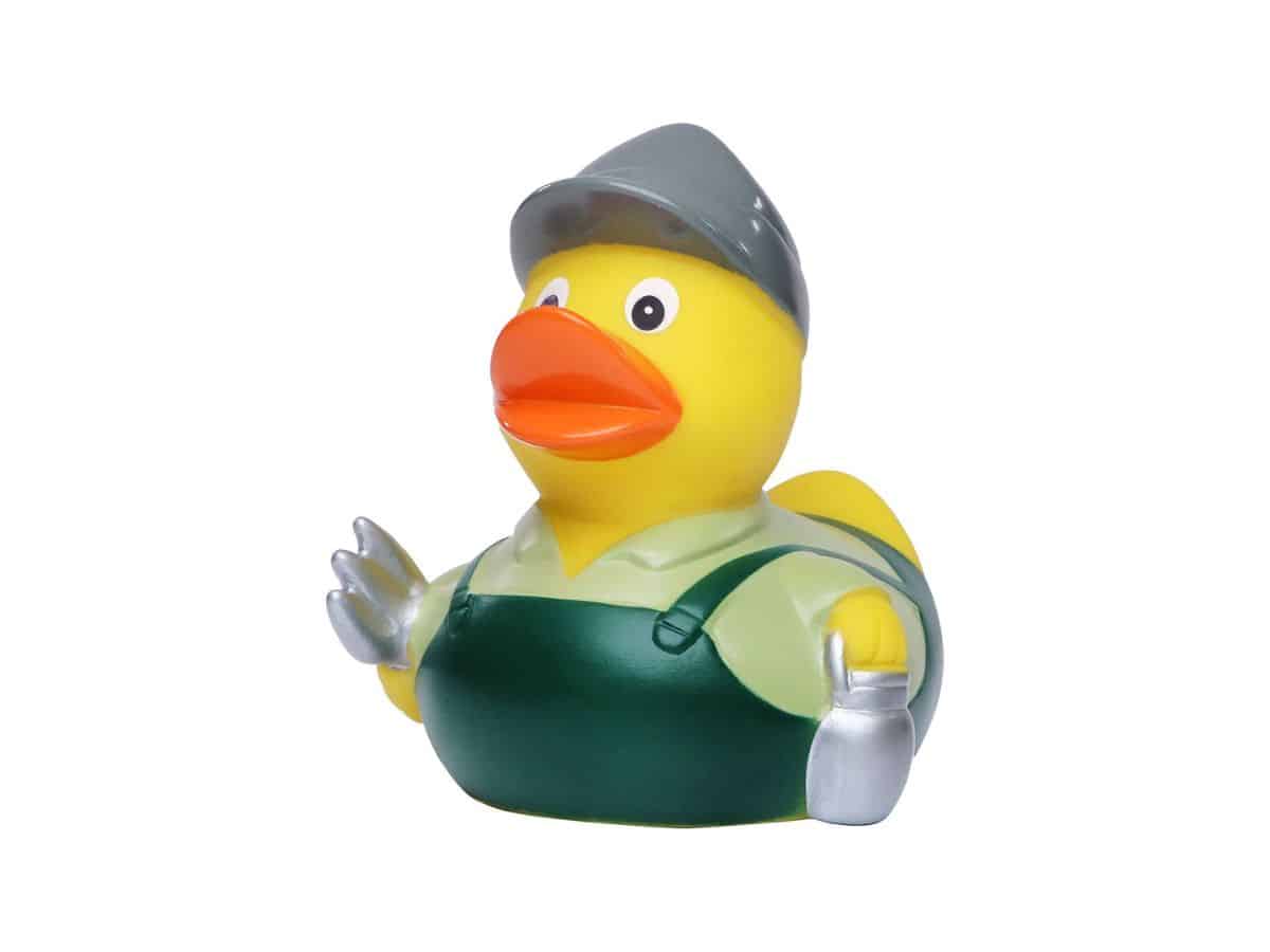Badeend Boer